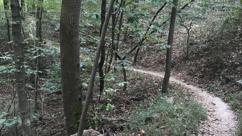 Hobby Park - Winston-Salem, NC