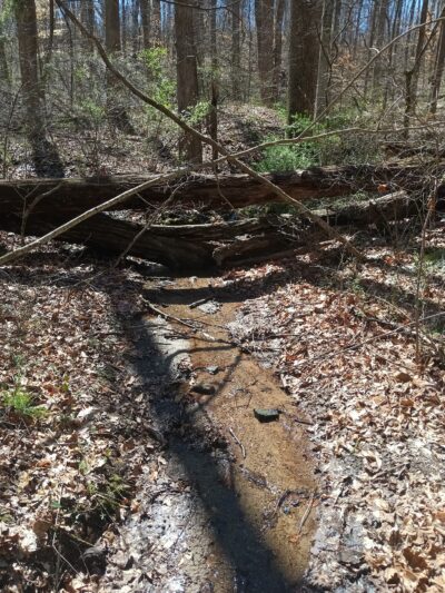 Hobby Park - Winston-Salem, NC