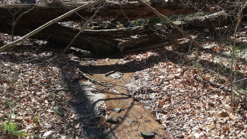 Hobby Park - Winston-Salem, NC