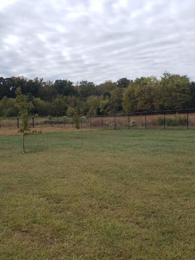 Meadowlark Dog Run - Winston-Salem, NC