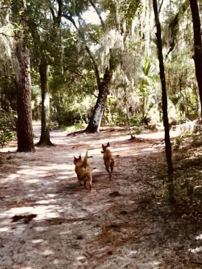 Lake Baldwin Park - Winter Park, FL