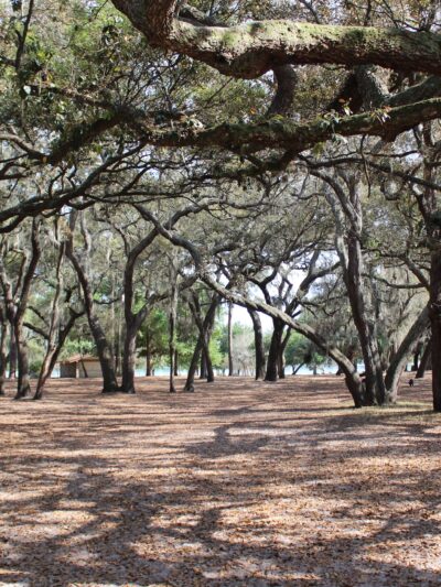 Lake Baldwin Park - Winter Park, FL