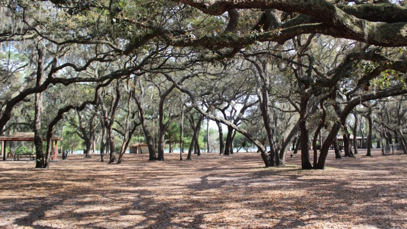 Lake Baldwin Park - Winter Park, FL