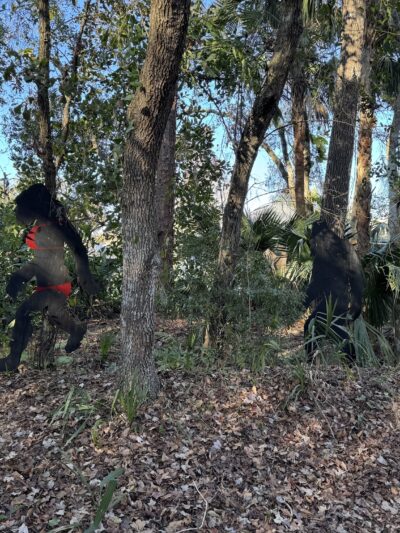 Black Hammock Trailhead - Winter Springs, FL