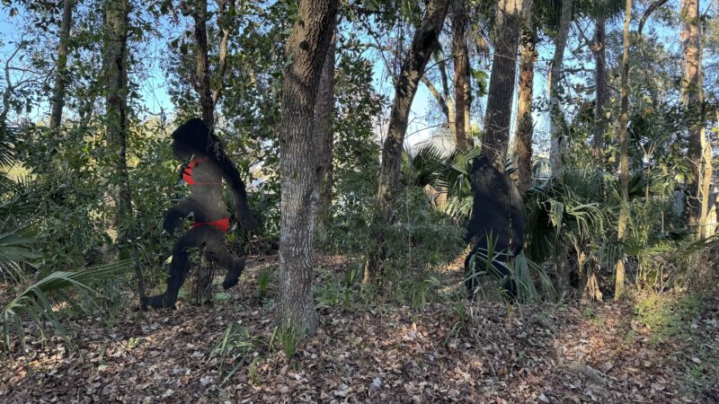 Black Hammock Trailhead - Winter Springs, FL