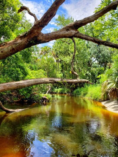 Black Hammock Trailhead - Winter Springs, FL