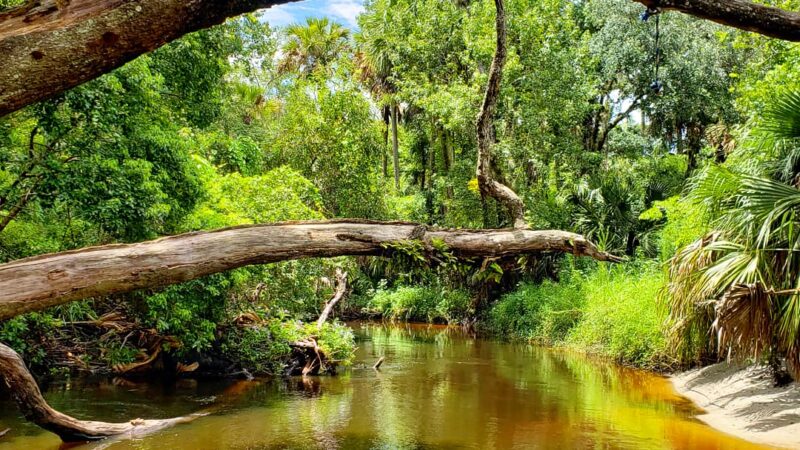 Black Hammock Trailhead - Winter Springs, FL