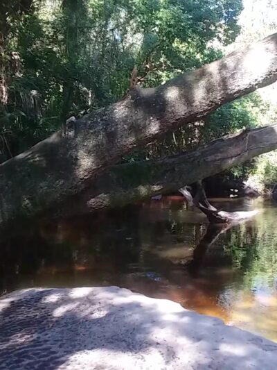 Black Hammock Trailhead - Winter Springs, FL
