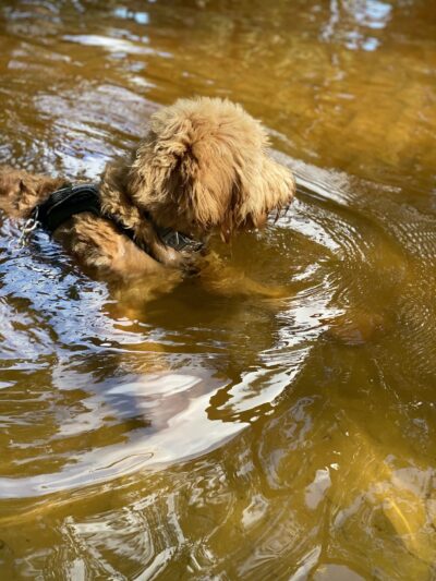 Black Hammock Trailhead Vitacourse 2000 - Winter Springs, FL