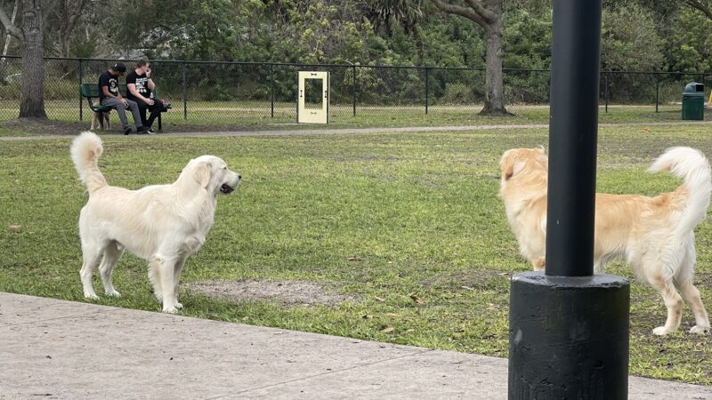 Hound Ground - Winter Springs, FL