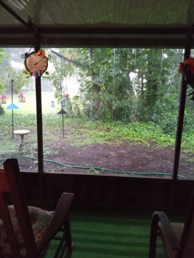 Wildwood Homes Dog Park - Winter Springs, FL