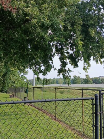 Wildwood Homes Dog Park - Winter Springs, FL