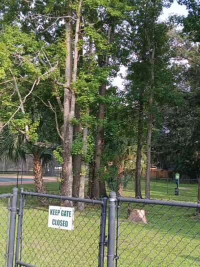 Wildwood Homes Dog Park - Winter Springs, FL