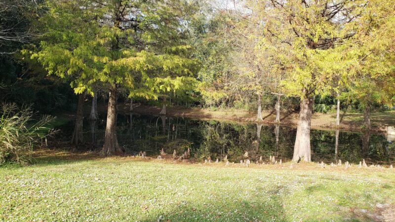 Winding Hollow Park - Winter Springs, FL