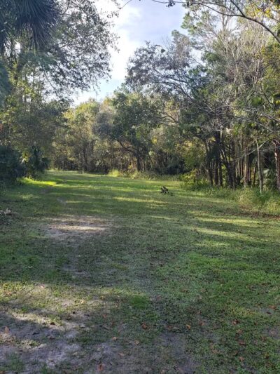 Winding Hollow Park - Winter Springs, FL