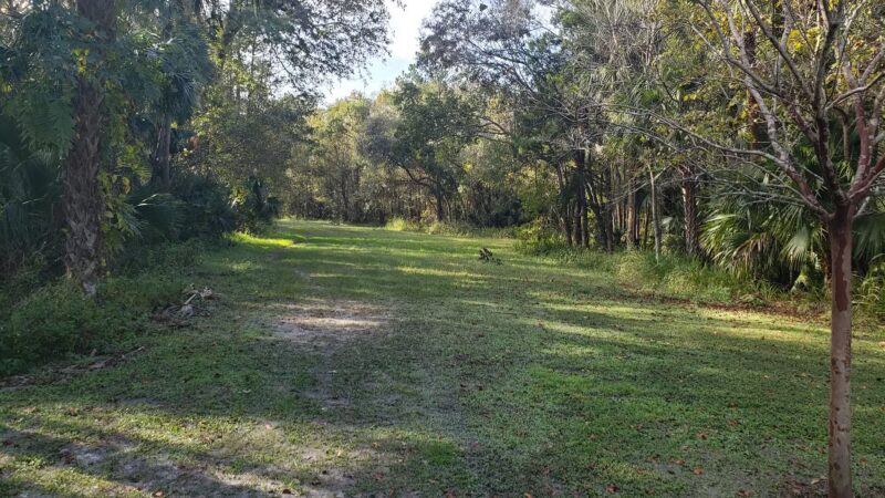 Winding Hollow Park - Winter Springs, FL