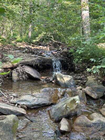 Shamokin Springs Nature Preserve - Wintergreen Resort, VA