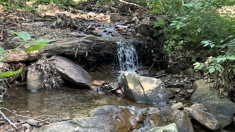 Shamokin Springs Nature Preserve - Wintergreen Resort, VA