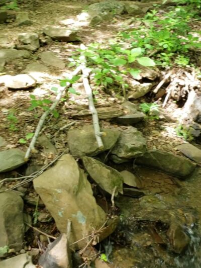 Shamokin Springs Nature Preserve - Wintergreen Resort, VA