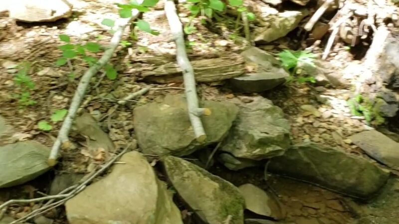 Shamokin Springs Nature Preserve - Wintergreen Resort, VA