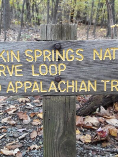 Shamokin Springs Nature Preserve - Wintergreen Resort, VA