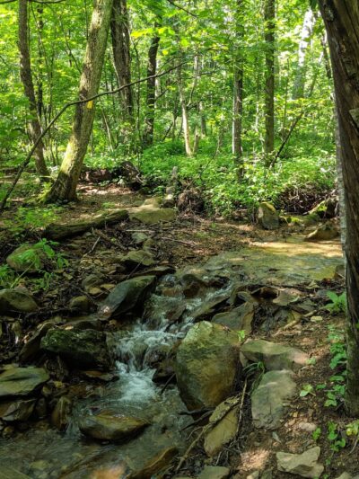 Shamokin Springs Nature Preserve - Wintergreen Resort, VA
