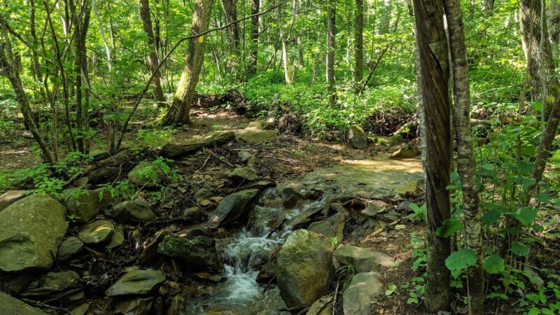 Shamokin Springs Nature Preserve - Wintergreen Resort, VA