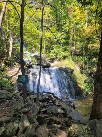 Shamokin Springs Nature Preserve - Wintergreen Resort, VA