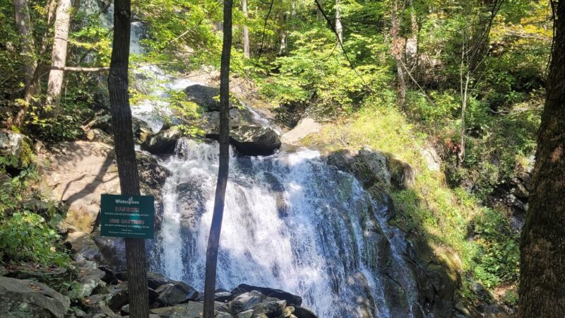 Shamokin Springs Nature Preserve - Wintergreen Resort, VA