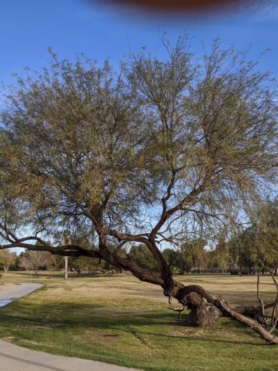 Quechan Walking Trail Park - Winterhaven, CA