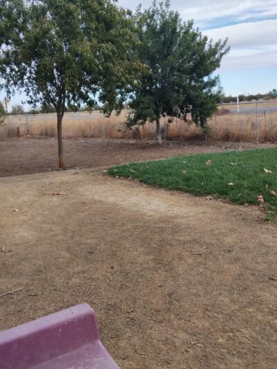 Willow Canal Dog Park - Winters, CA