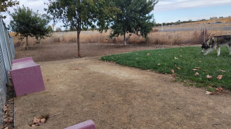 Willow Canal Dog Park - Winters, CA