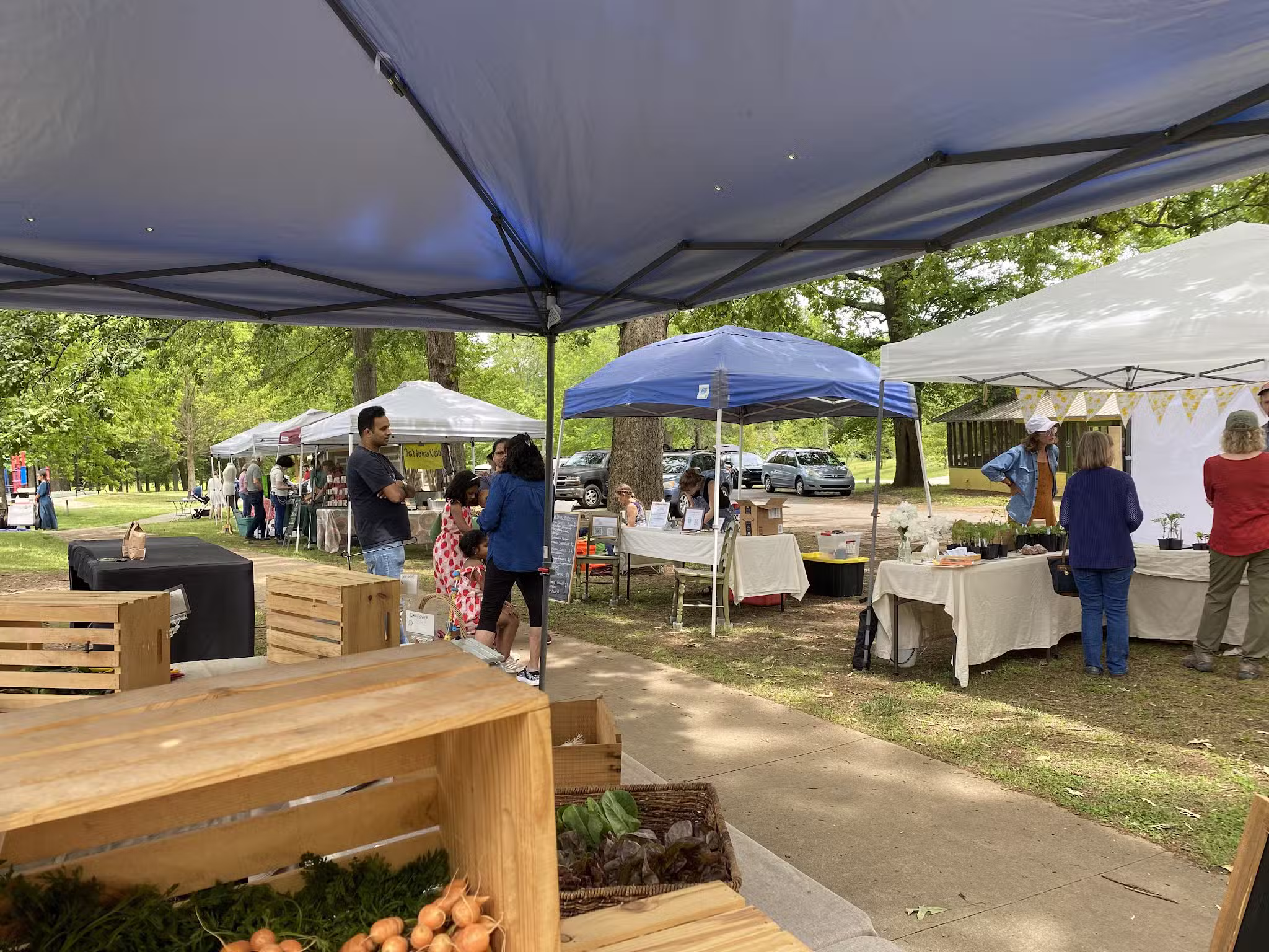 Pittard Park - Winterville, GA