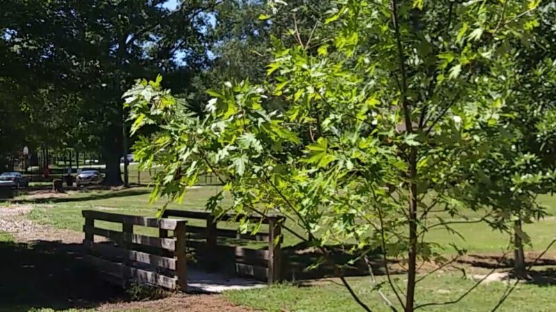 Pittard Park - Winterville, GA