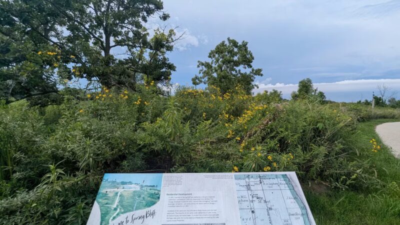 Spring Bluff Forest Preserve - Winthrop Harbor, IL