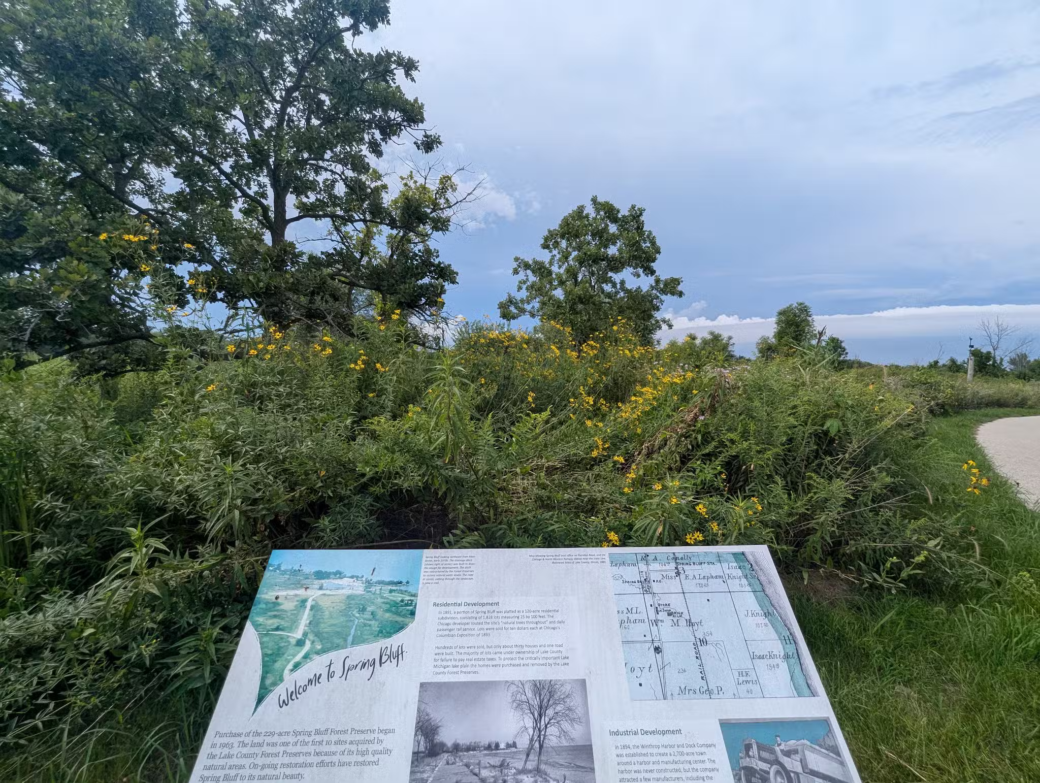 Spring Bluff Forest Preserve - Winthrop Harbor, IL