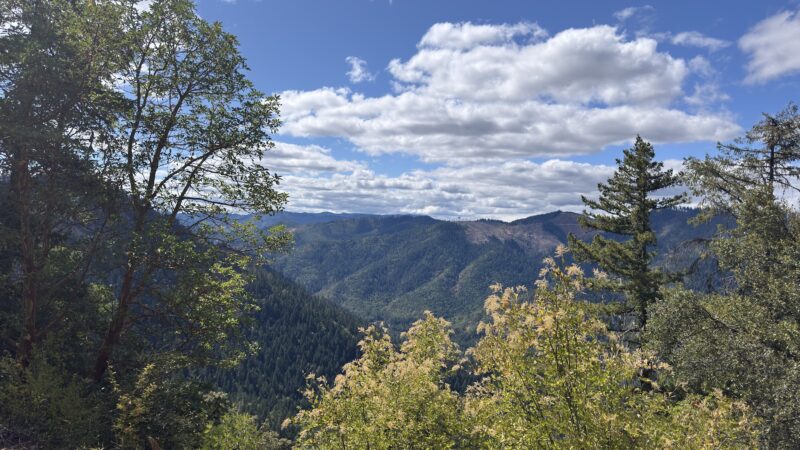 London Peak Accessible Trailhead - Wolf Creek, OR