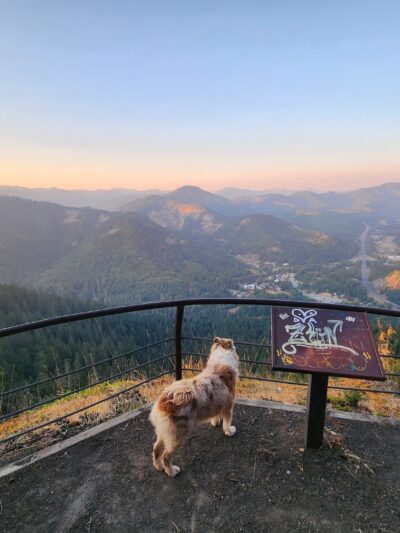 London Peak Accessible Trailhead - Wolf Creek, OR