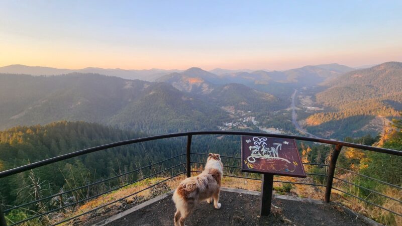 London Peak Accessible Trailhead - Wolf Creek, OR