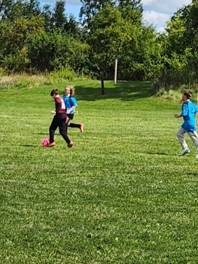 Woods Creek Park - Wonder Lake, IL