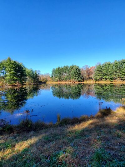 Krimgold Park - Woodbine, MD