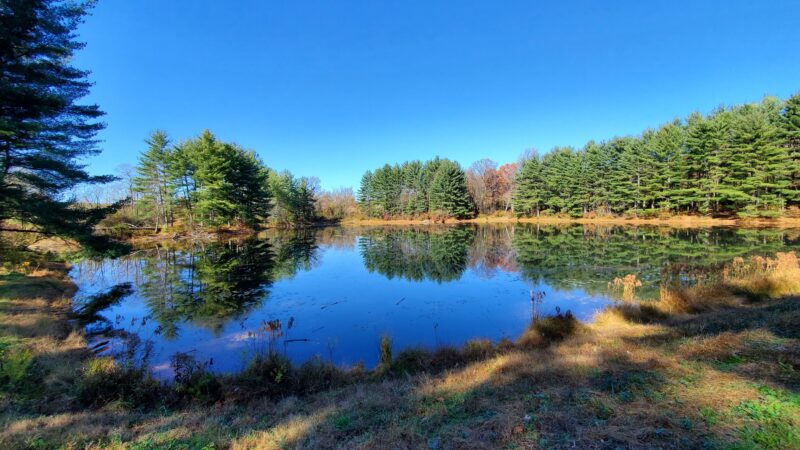 Krimgold Park - Woodbine, MD