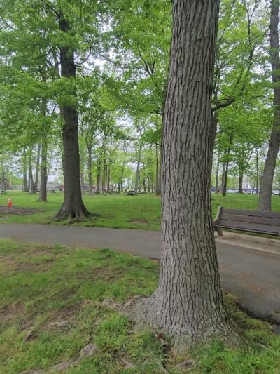 Fords Park - Woodbridge, NJ