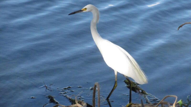Heards Brook Park - Woodbridge, NJ