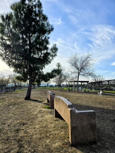 Woodland Off Leash Dog Park - Woodland, CA
