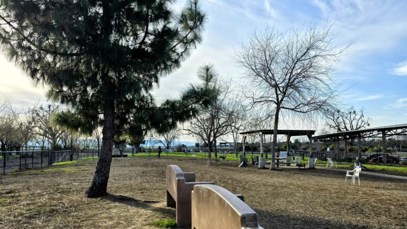 Woodland Off Leash Dog Park - Woodland, CA