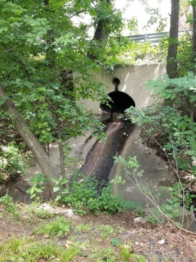 Thomas E May Memorial Park - Woodland Park, NJ