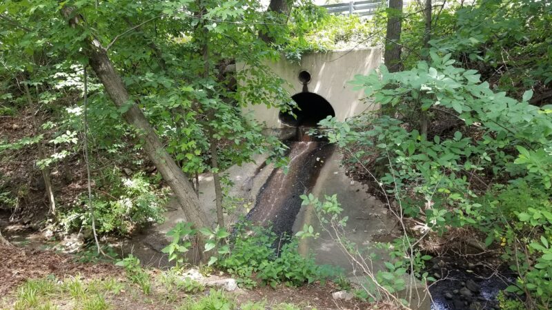 Thomas E May Memorial Park - Woodland Park, NJ