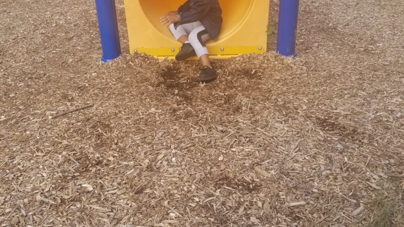 Thomas E May Memorial Park - Woodland Park, NJ