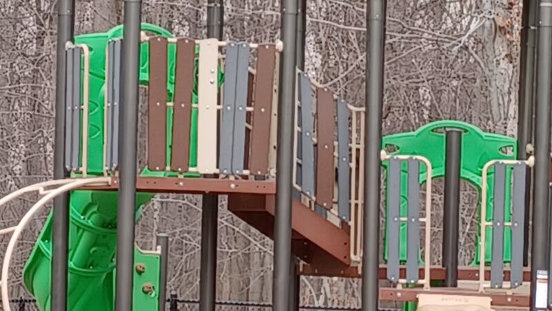 Dog Park at Rifle Camp Park - Woodland Park, NJ